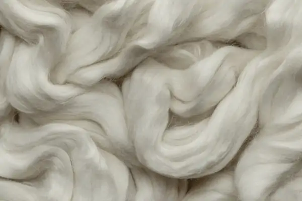 Sustainable bamboo forest source for textile fiber, demonstrating eco-friendly raw material procurement